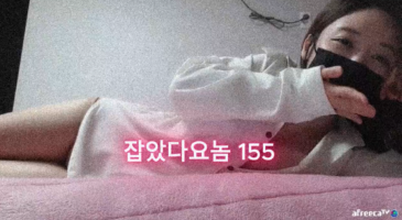 (한국야동) 잡았다 요놈 코맹맹이 성괴녀 여캠